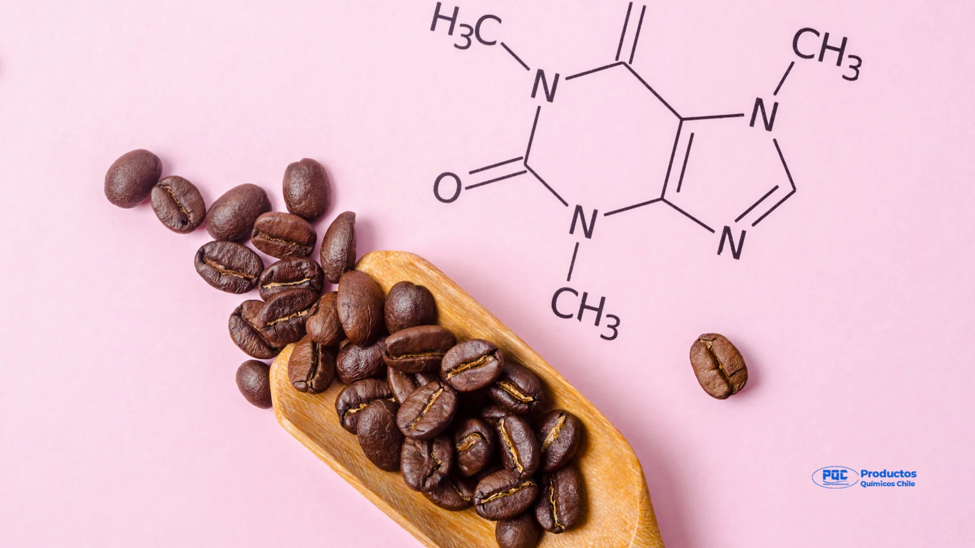 Cafeína y su uso Inteligente